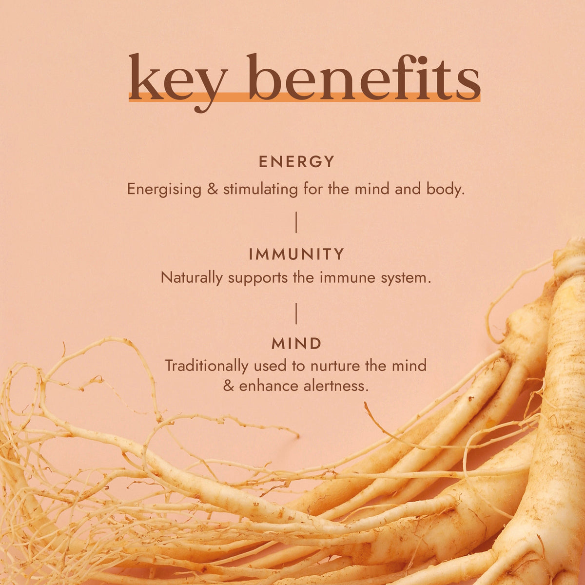 Organischer roter Ginseng