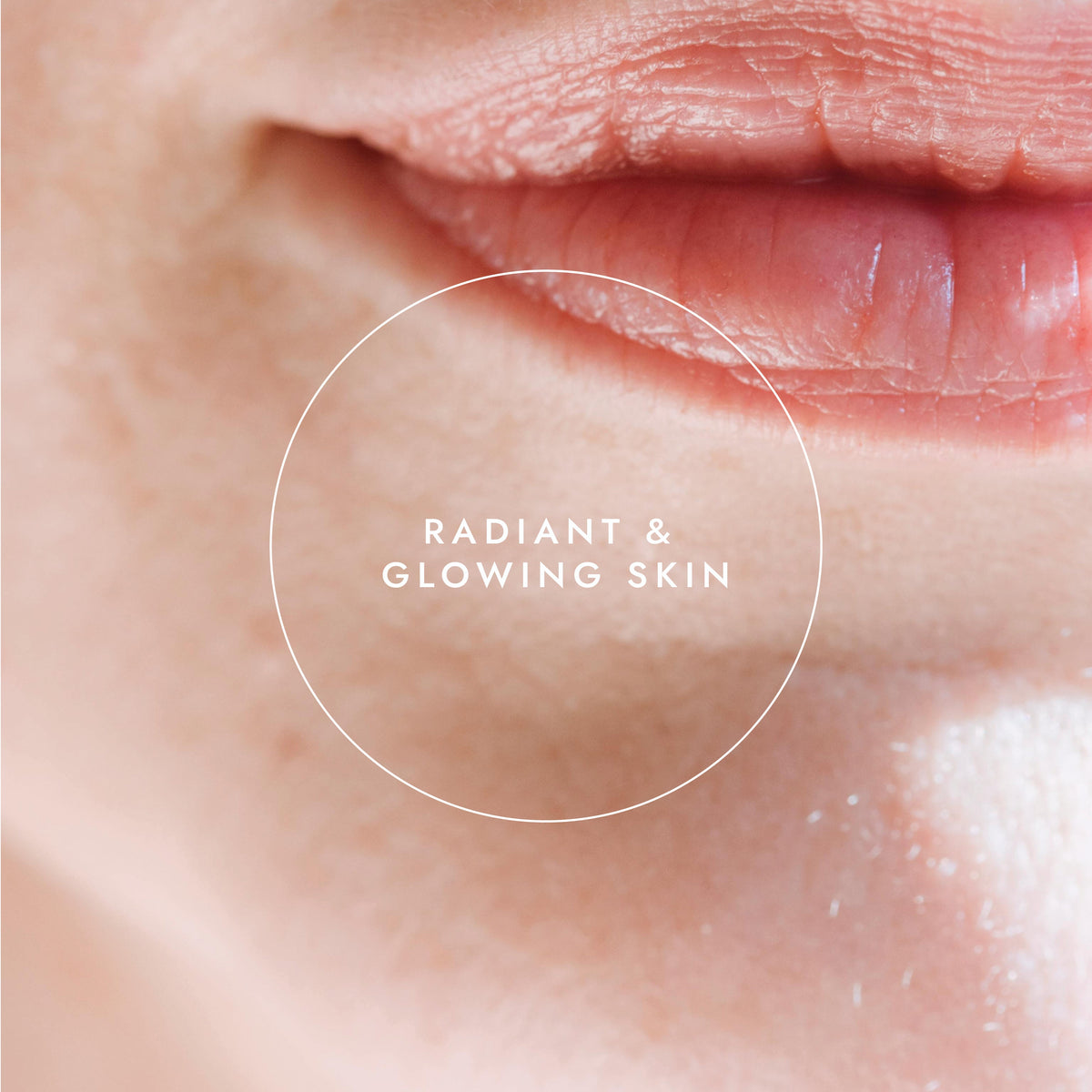 Bio Hagebuttenöl 100ml