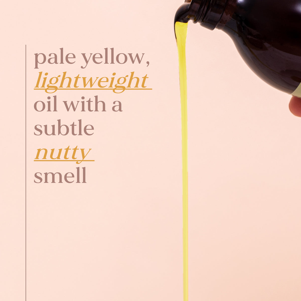 Bio-Nachtkerzenöl 100ml