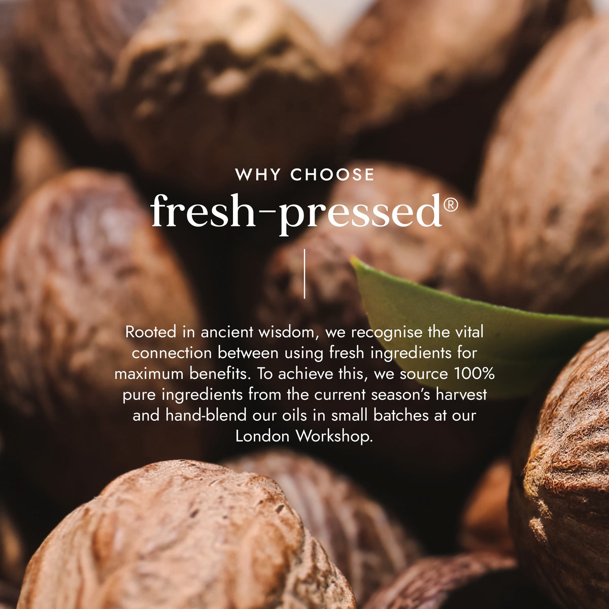Bio Sheabutter 200g
