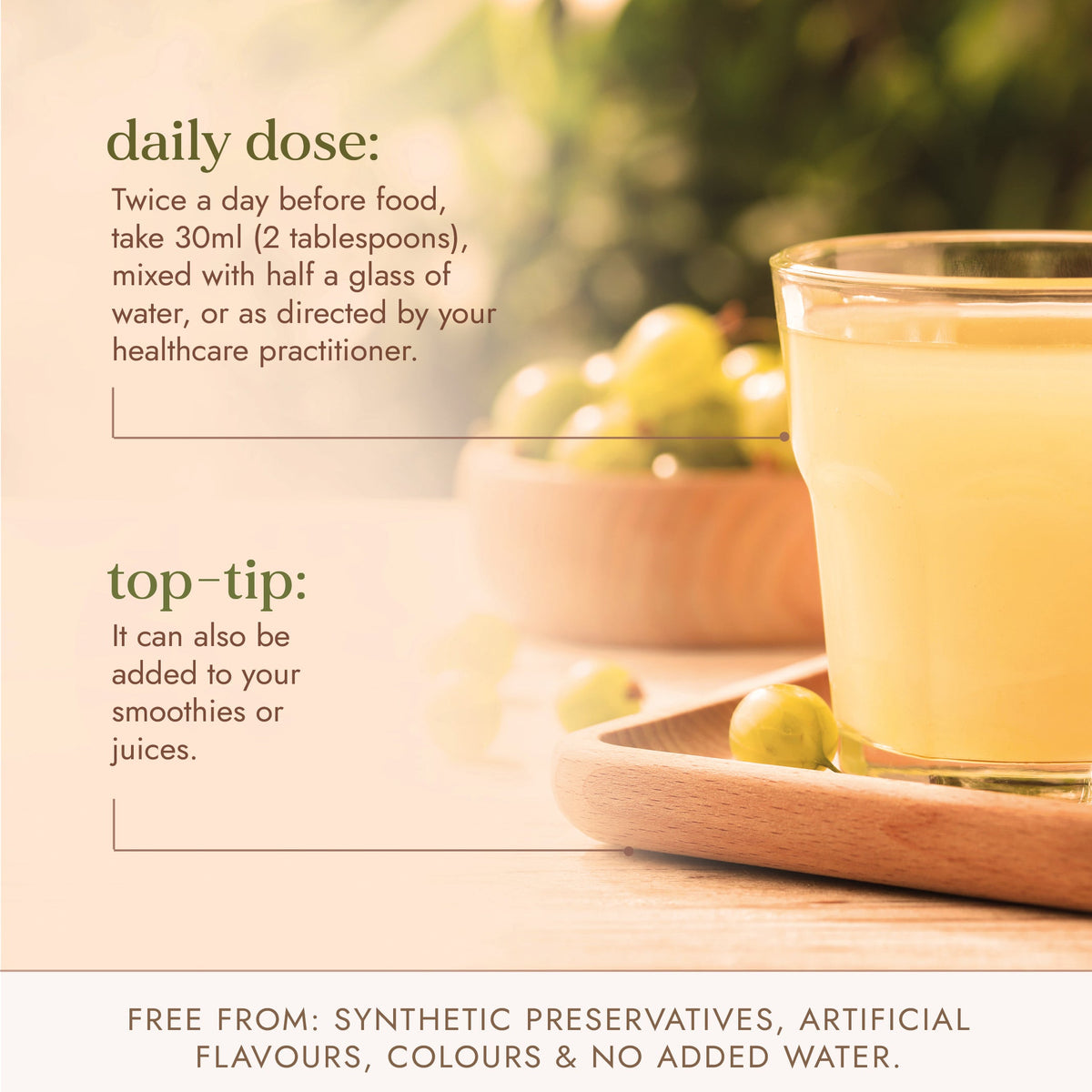 Amla-Saft 500ml