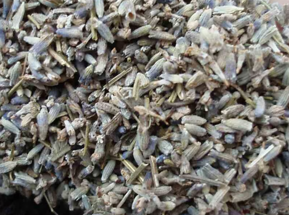 Lavendel