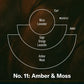 Ambre et mousse