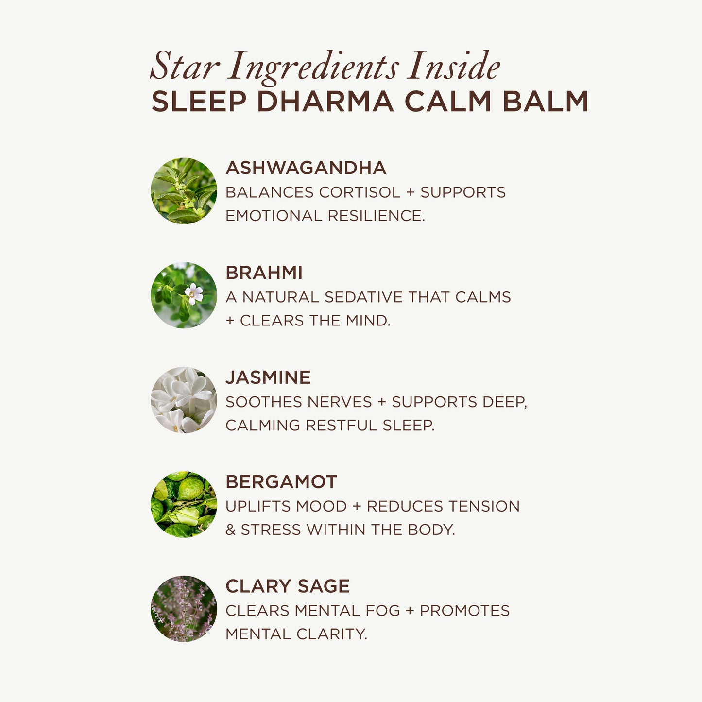 Sleep Dharma Calm Balm – Ayurvedischer Entspannungsbalsam 20 g