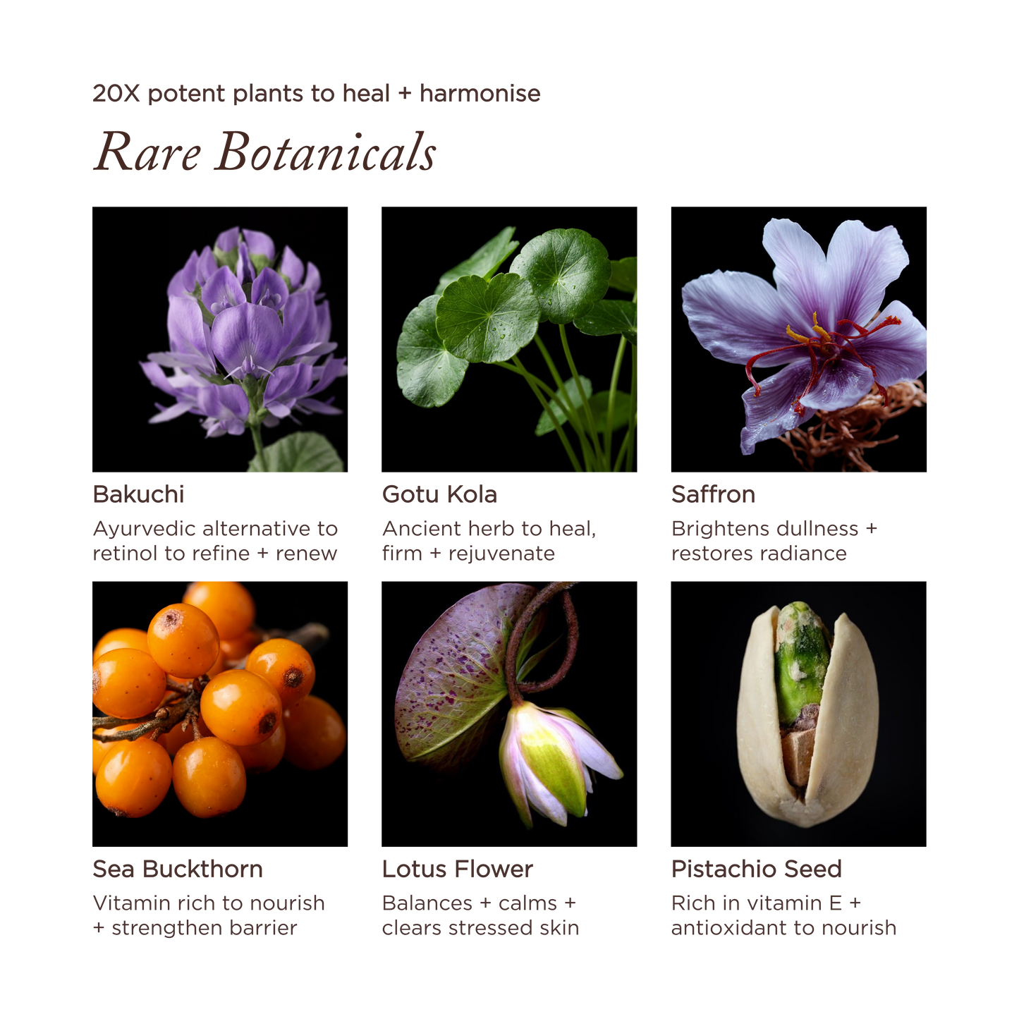Lotus & Bakuchi Skin Harmony Cream