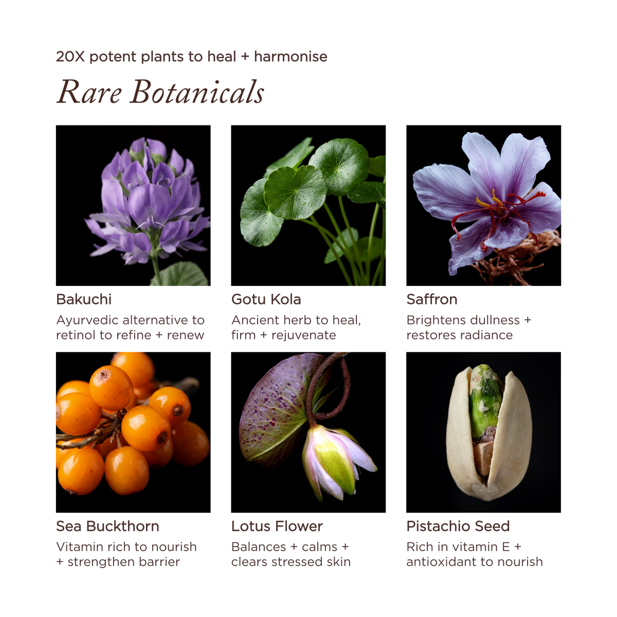 MAULI RITUALS Lotus & Bakuchi Skin Harmony Cream – Gesichtscreme – Produktansicht 6