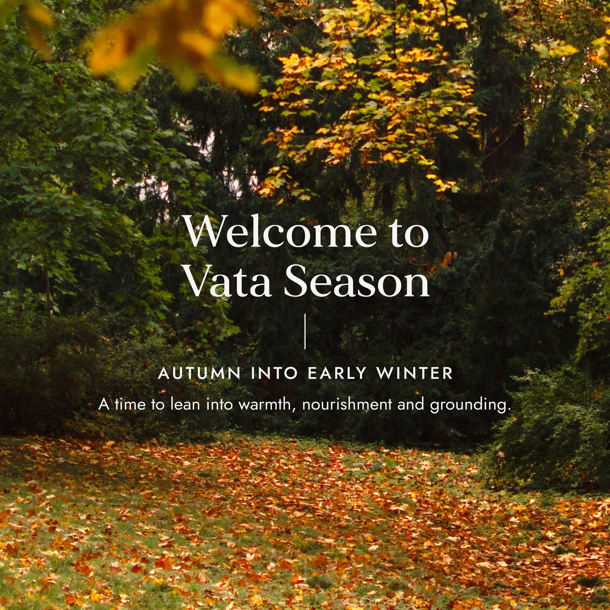 Vata Season Mystery Box