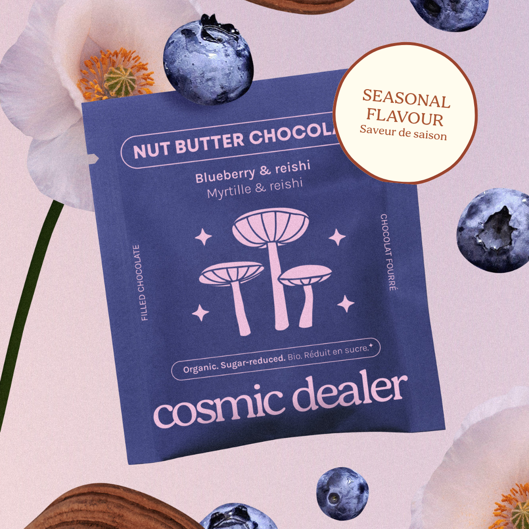 Wild Blueberry & Reishi Schokoladen – 8 Stück