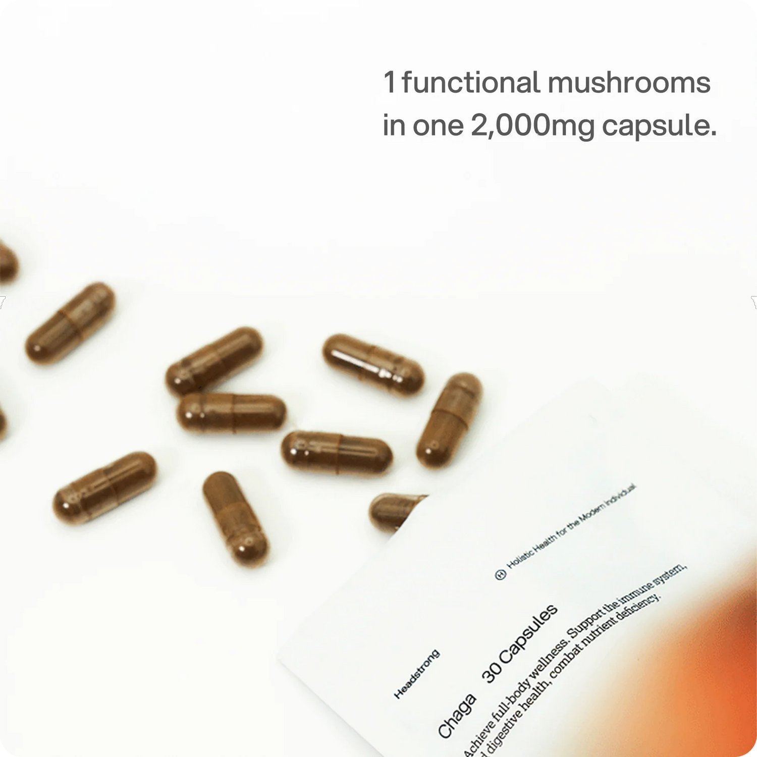 Chaga – 2,000 mg capsules