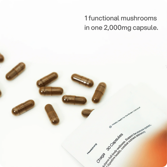Chaga – 2.000 mg Kapseln