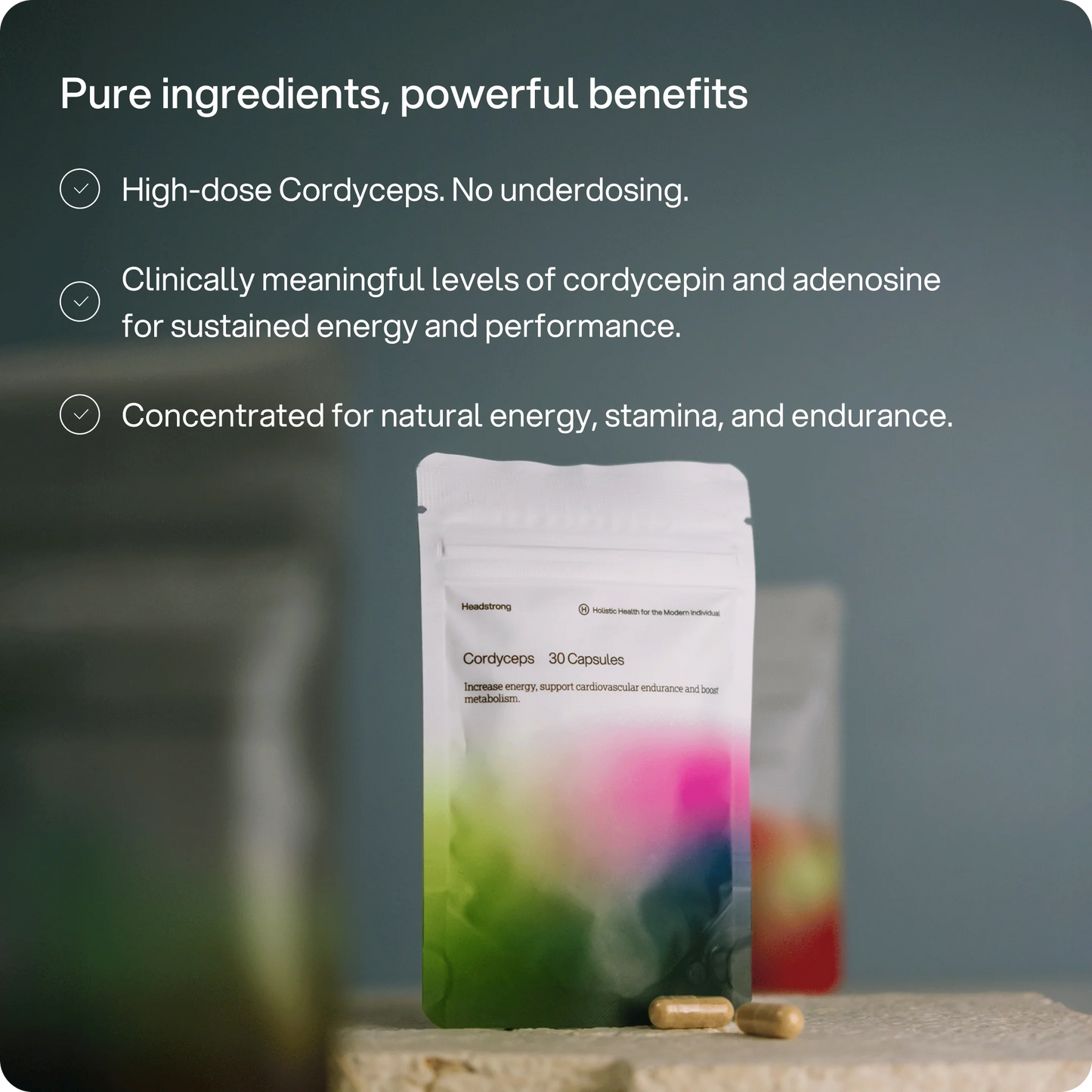 Cordyceps 2.500 mg Kapseln