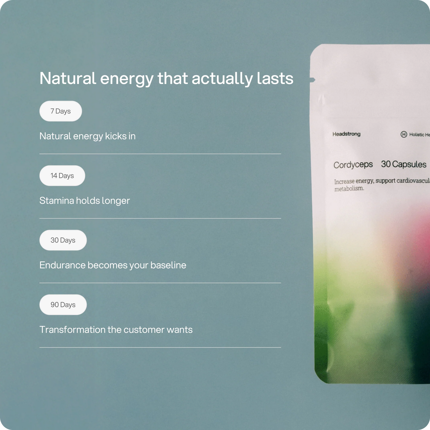 Cordyceps 2.500 mg Kapseln