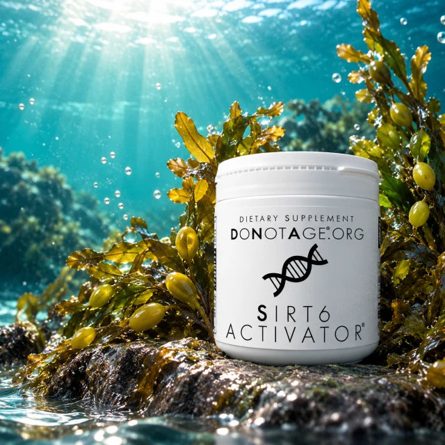 DoNotAge SIRT6Activator® – Produktdose