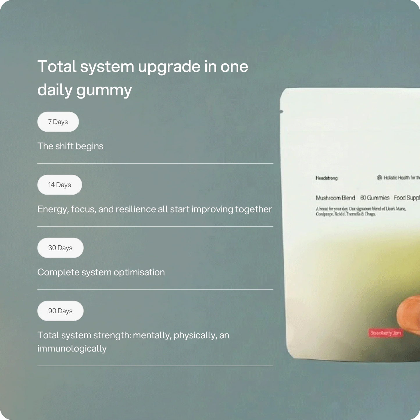 Mushroom Blend Gummies – 2.500 mg – Strawberry Jam