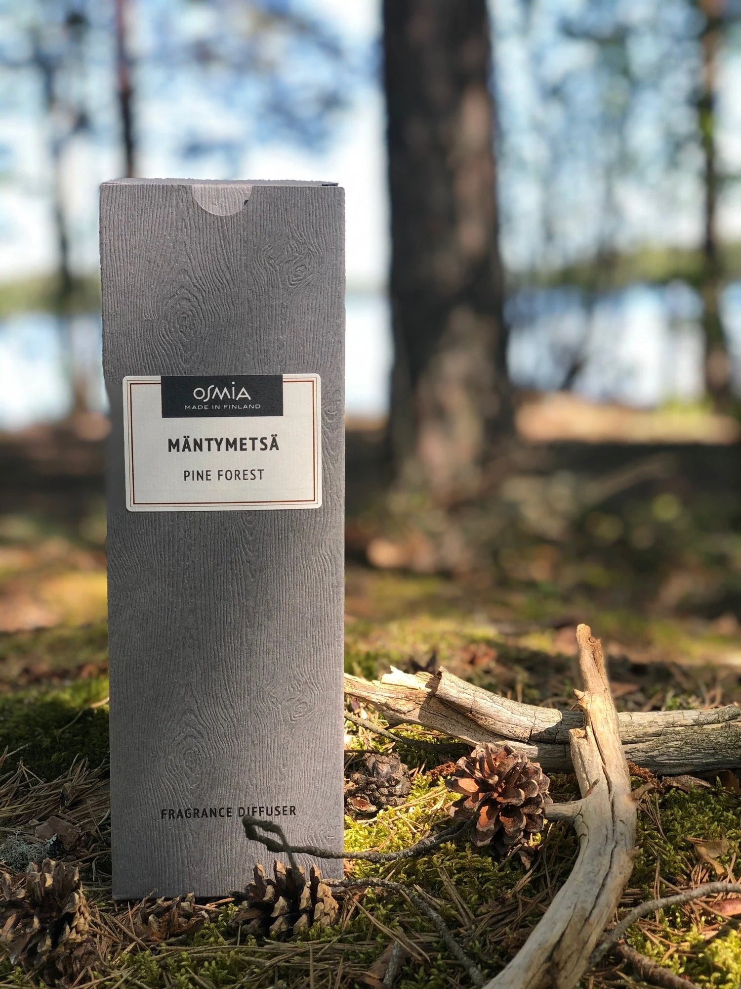 Stick-Diffuser Pine Forest