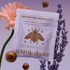 Wild Lavender & Macadamia Schokoladen – 8 Stück