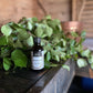 Sauna Aufguss Honig Zitrone
