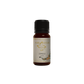 Zypresse