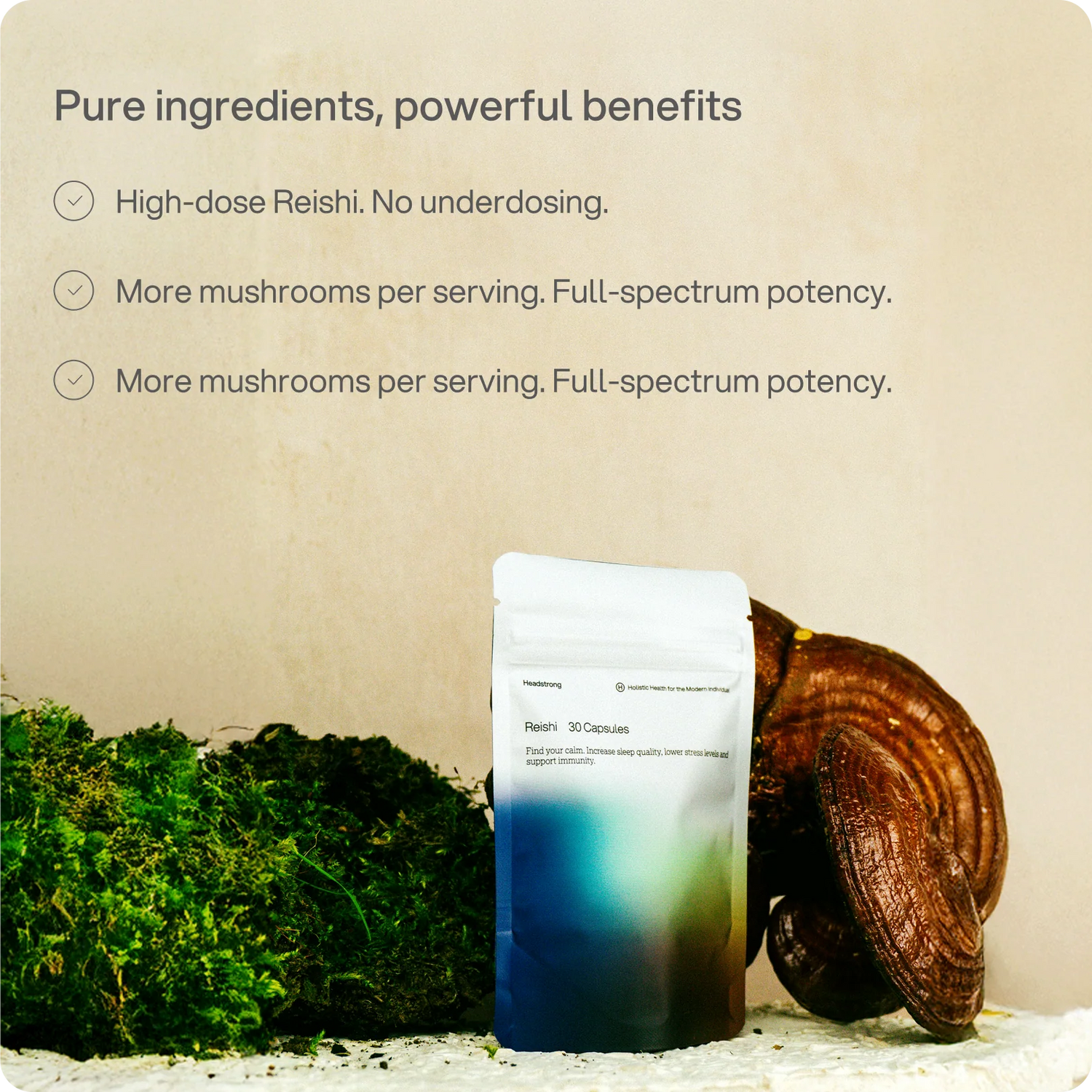 Reishi 2,500 mg capsules
