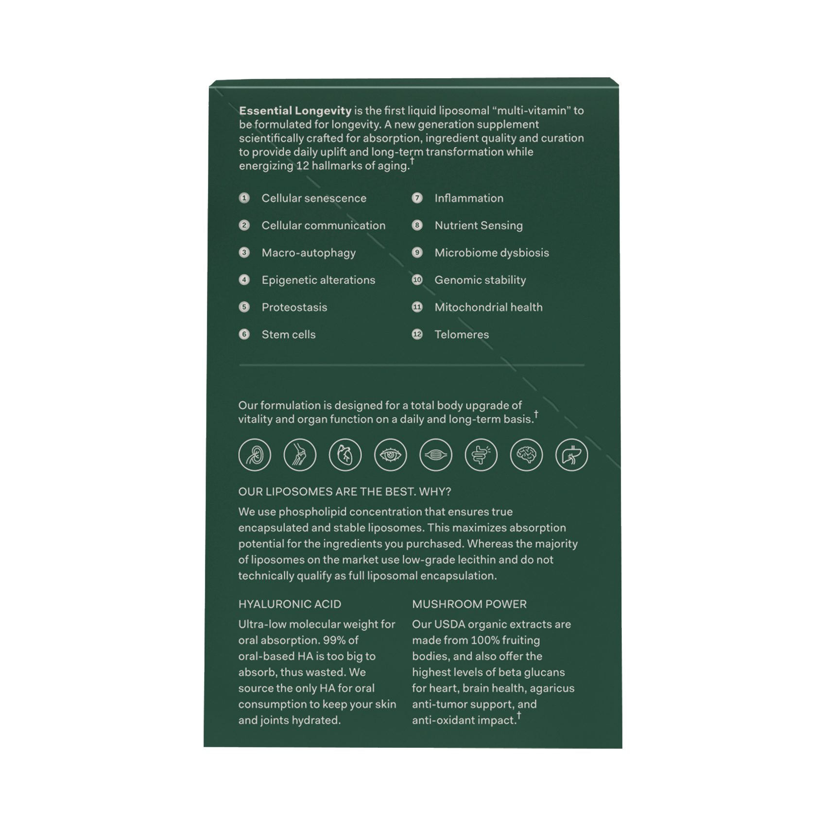 Essential Longevity – All-in-One Daily Longevity Stack