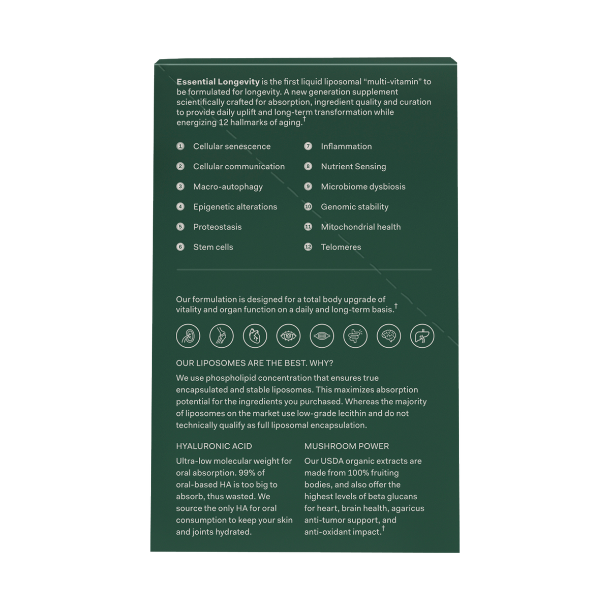 Essential Longevity – All-in-One Daily Longevity Stack