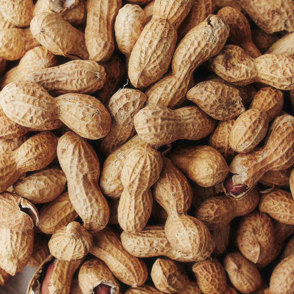 THE NO BAR Peanut – Verpackung, Detail oder Markenmoment