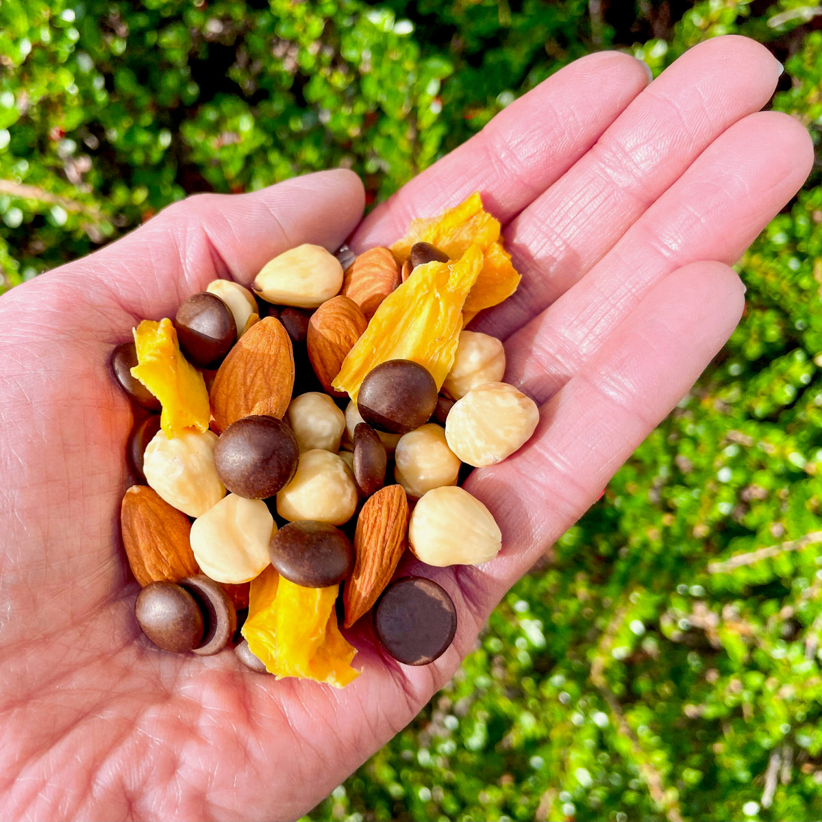 CHOCCY HAZELNUT MANGO MIX – Ansicht 2