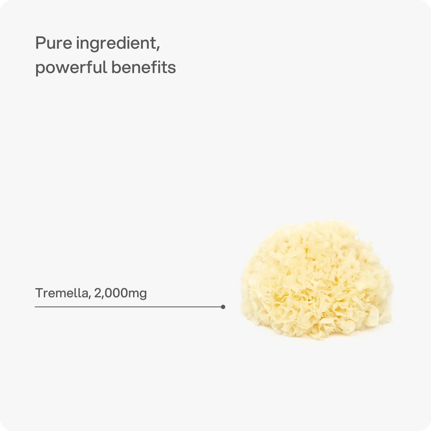 Tremella – 2.000 mg Kapseln
