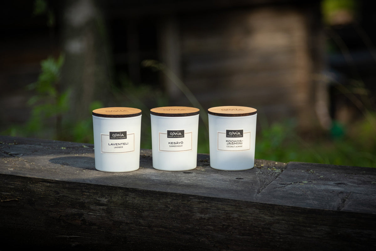 Lapland dry wood scented candle (150g)