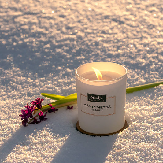Pine forest scented candle (150 g)