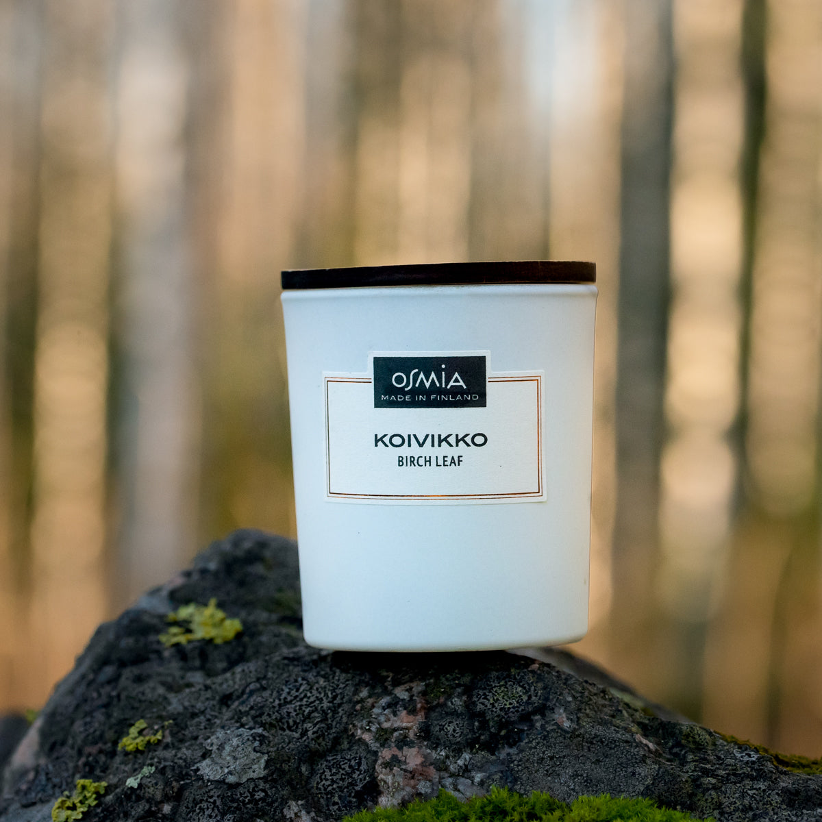 Birch leaf scented candle (150 g)