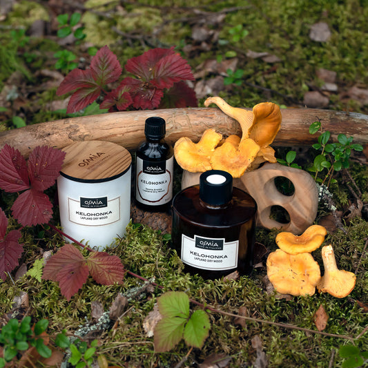 Lapland dry wood Sauna Aroma 50 ml